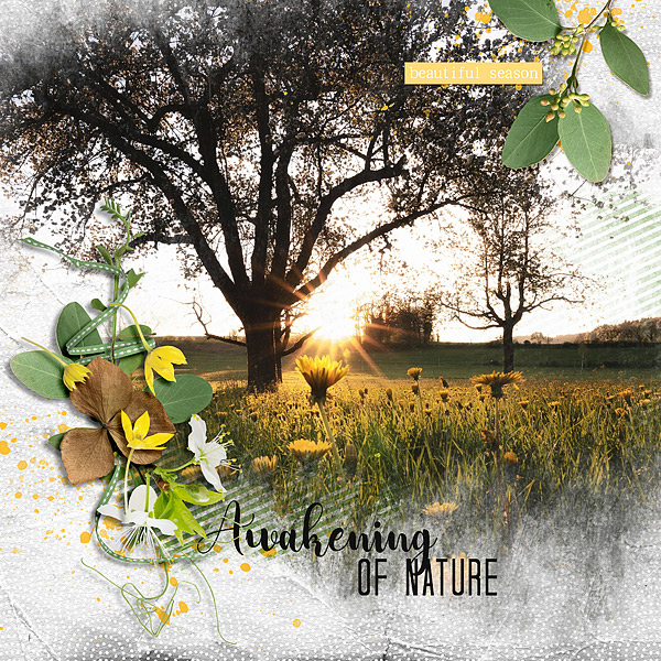 Awakening of Nature