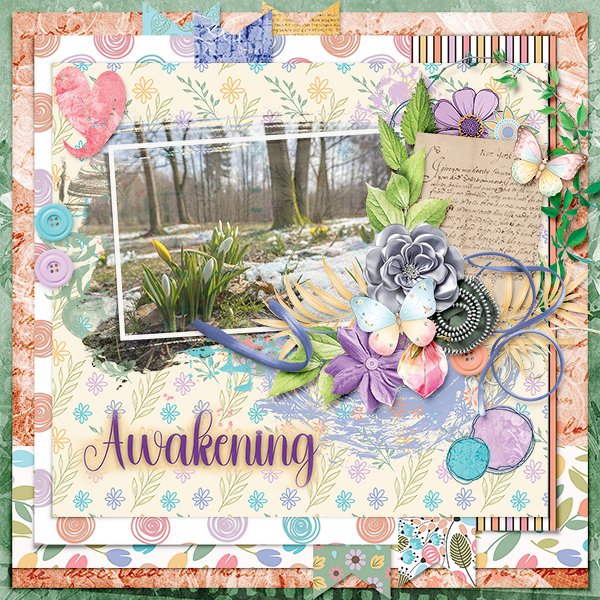 Awakening_ollitko_600.jpg