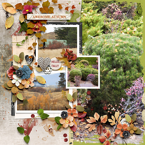 Awesome Autumn