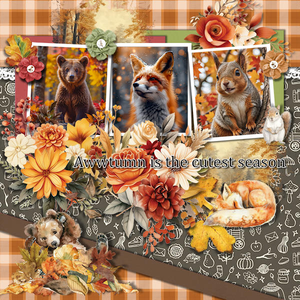 Awwtumn Is The Cutest Season