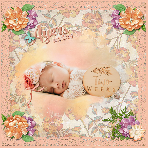 Ayers Audrey at 2 Weeks