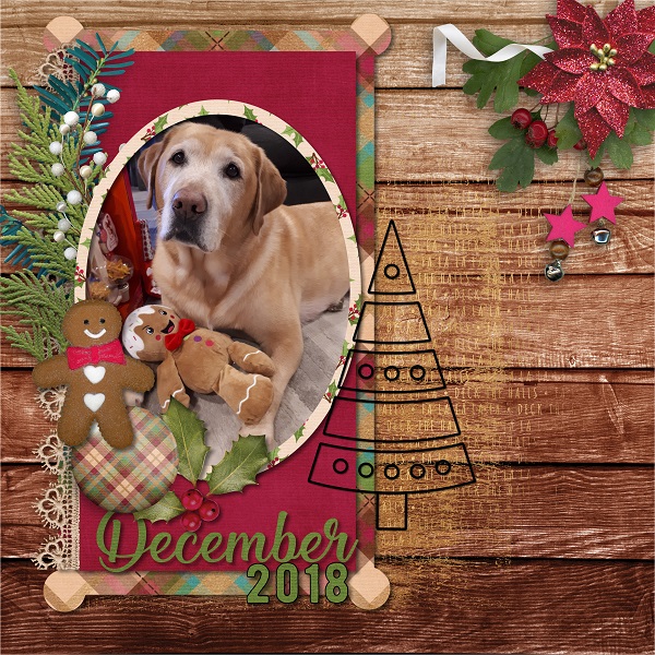 AYOB Decemberr 2018