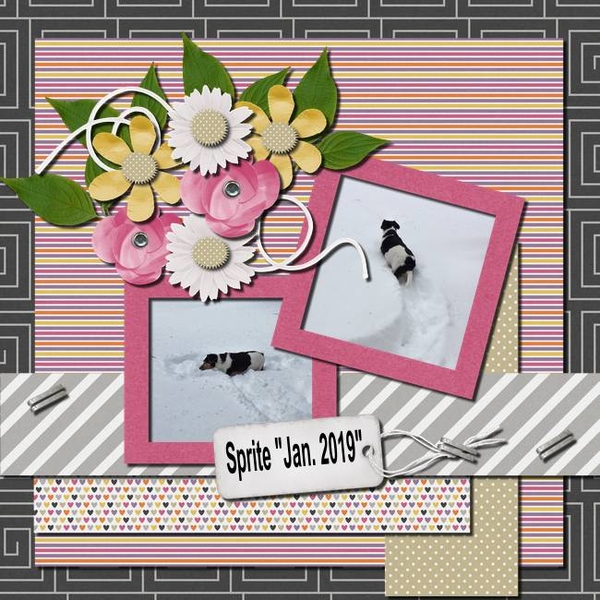 AYOB Jan. 2019