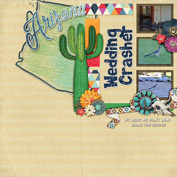 az-wedding-crasher11