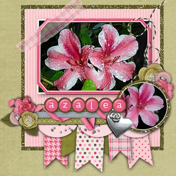 Azalea