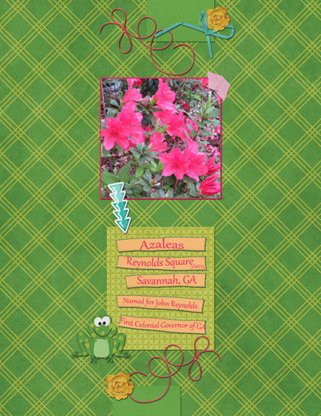 Azaleas Reynolds Square