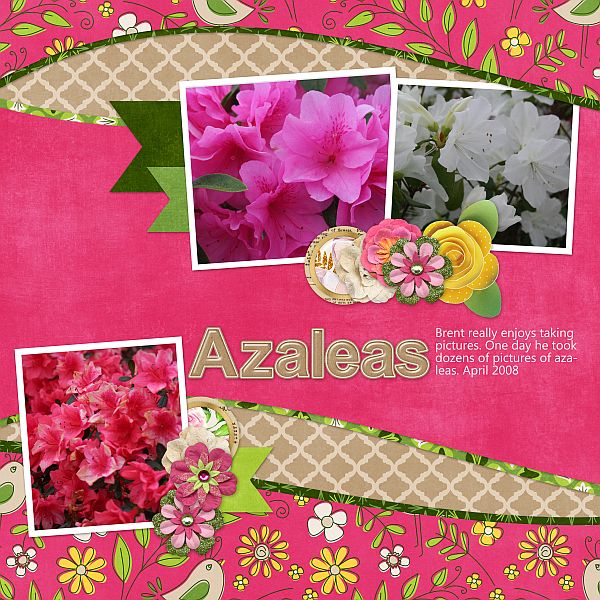 Azaleas
