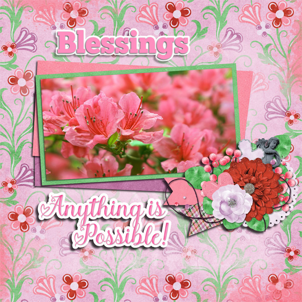 Azaleas