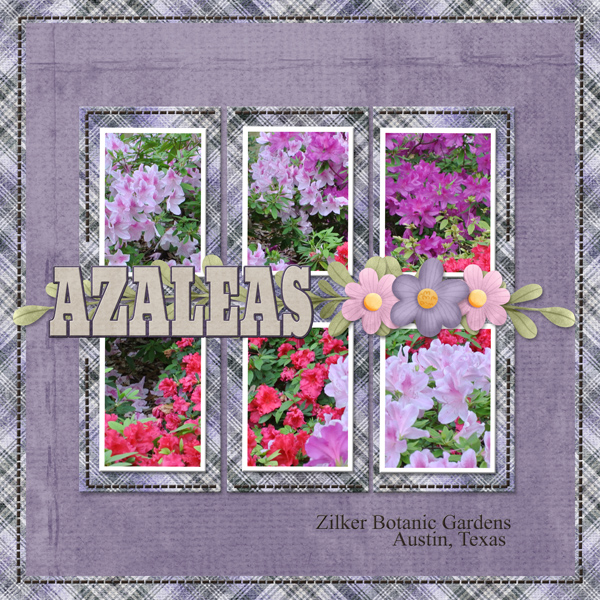 AZALEAS