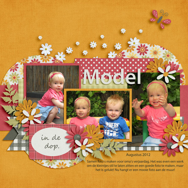 B2N2 Scraps - Country Girl / Aprilisa Designs PP57