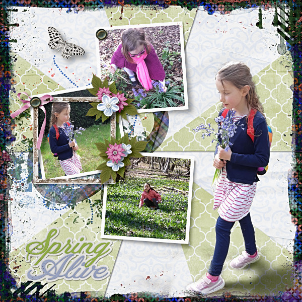 B57_Bloom_ShineByAimeeH600