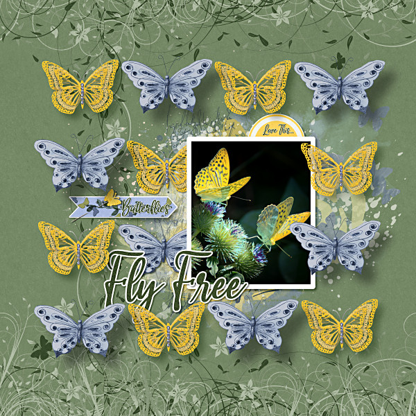 B57_ButterflyBlissByMM_TtpMar2024ByJcon600