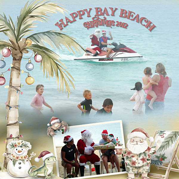 B57_FestiveAussieAOByBS600