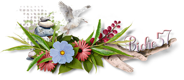 B57_SpringAlive_DriftwoodByAimeeh