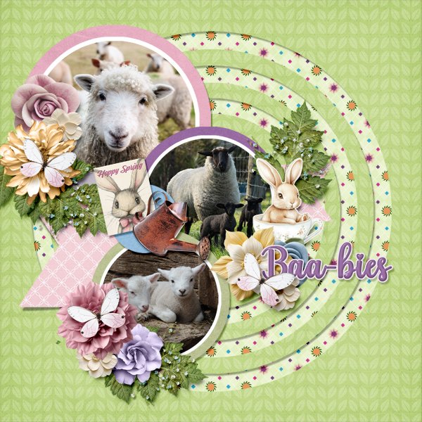 Baa-bies