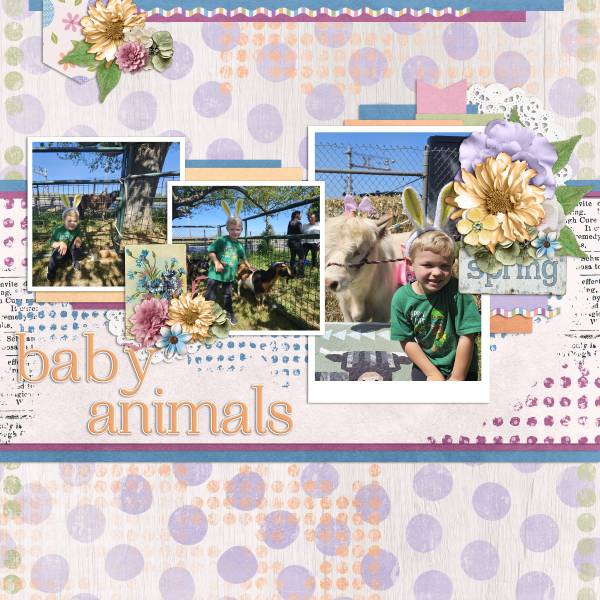 Baby Animals