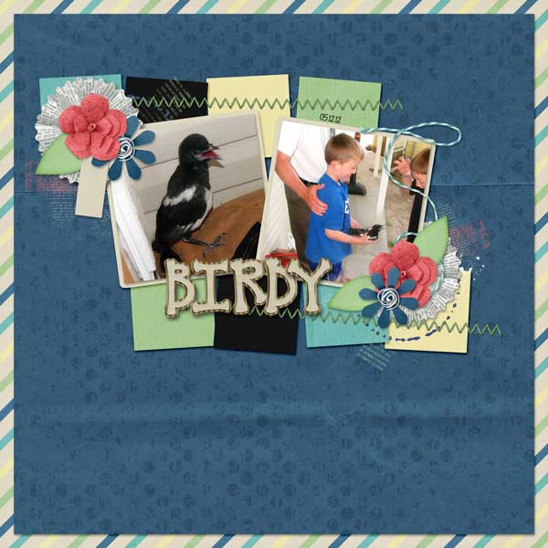 Baby Bird 2012