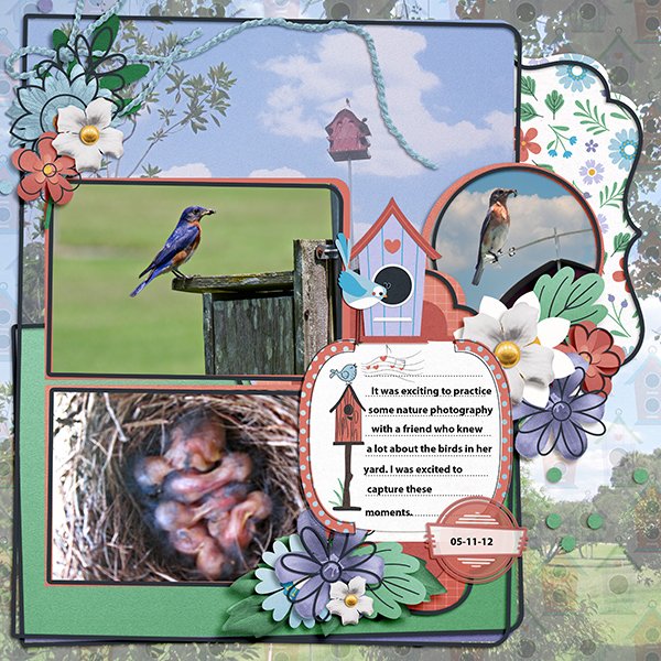 Baby-BirdsSCD-LIS-TP2-copy-2.jpg