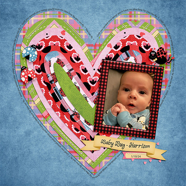 Baby Bug