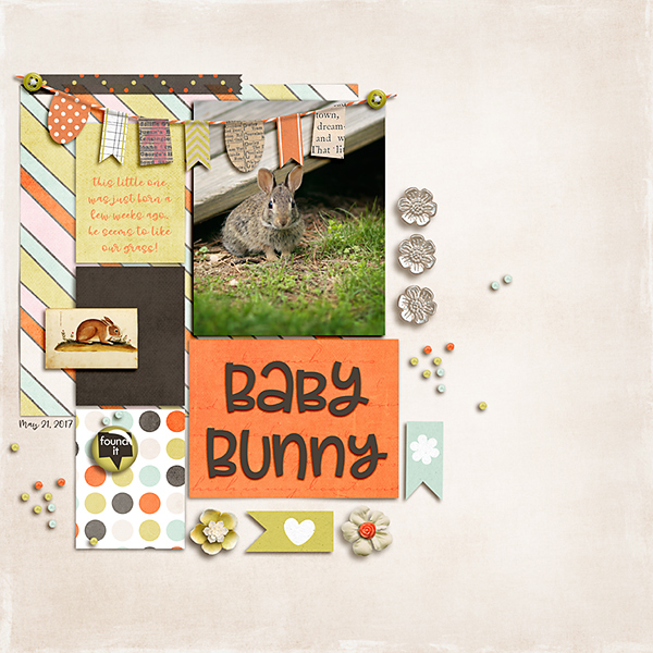 Baby Bunny