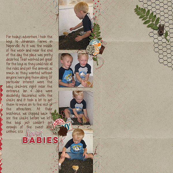 Baby Chicks