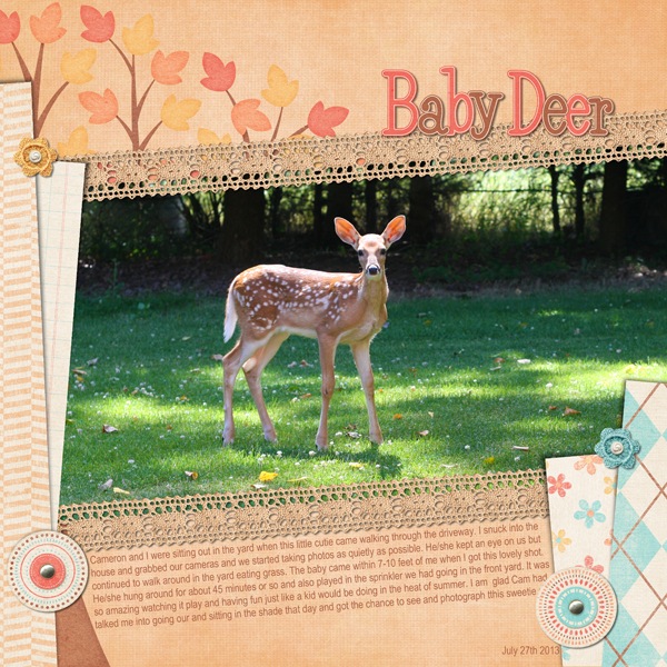 Baby Deer