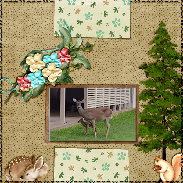 Baby Deer