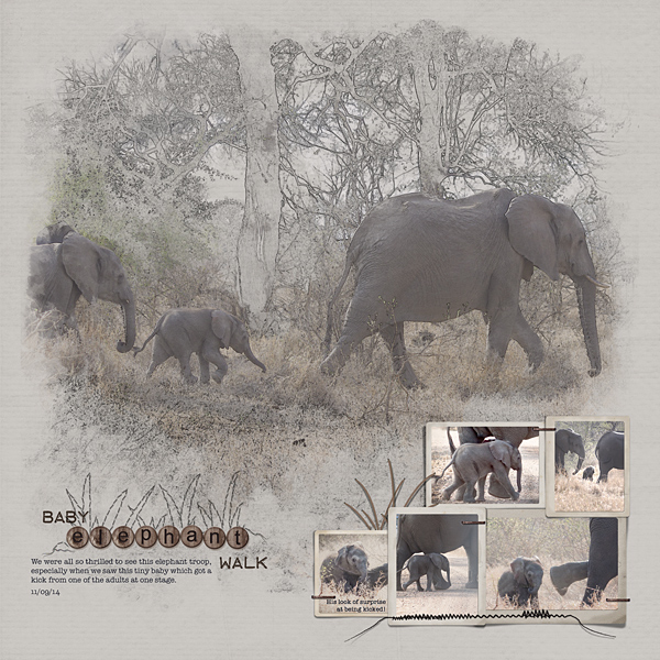Baby Elephant Walk