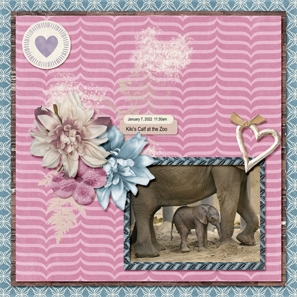 Baby Elephant