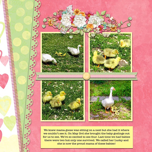 Baby Geese