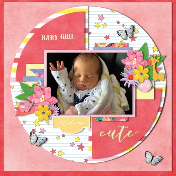 Baby Girl Shower