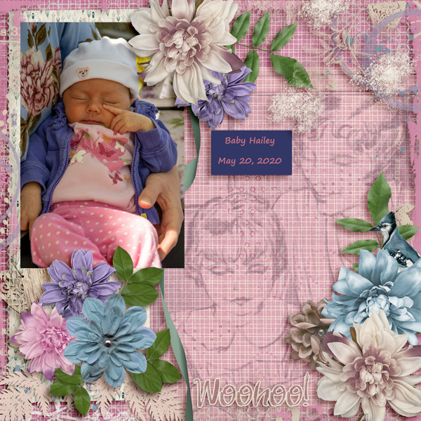 Baby Hailey