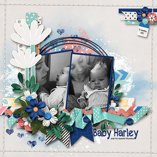 Baby Harley