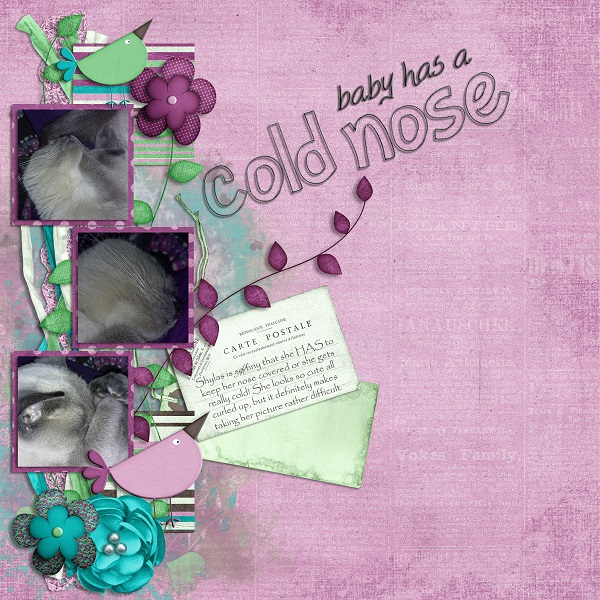 baby has a cold nose