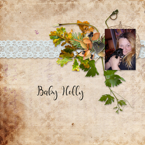 Baby Holly