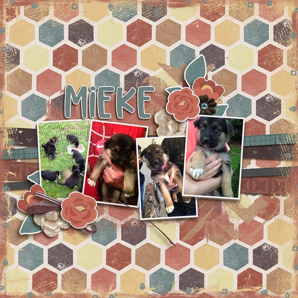 Baby Mieke