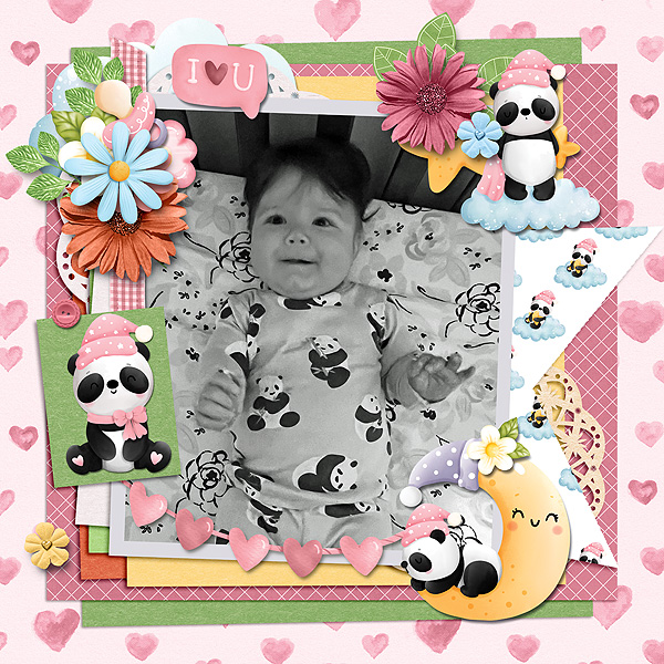 Baby Panda