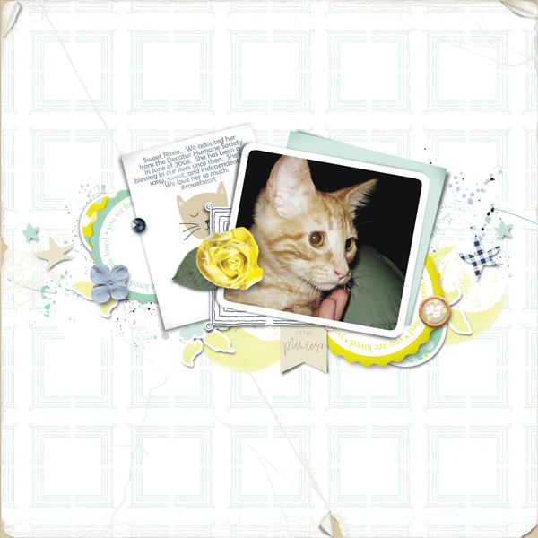 Baby Roxie | Summer 2008