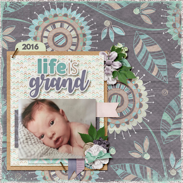 Baby Schultz