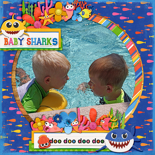 baby-sharks-in-the-water
