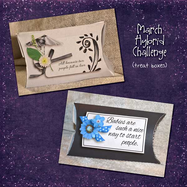 Baby Shower Favors - Treat Boxes