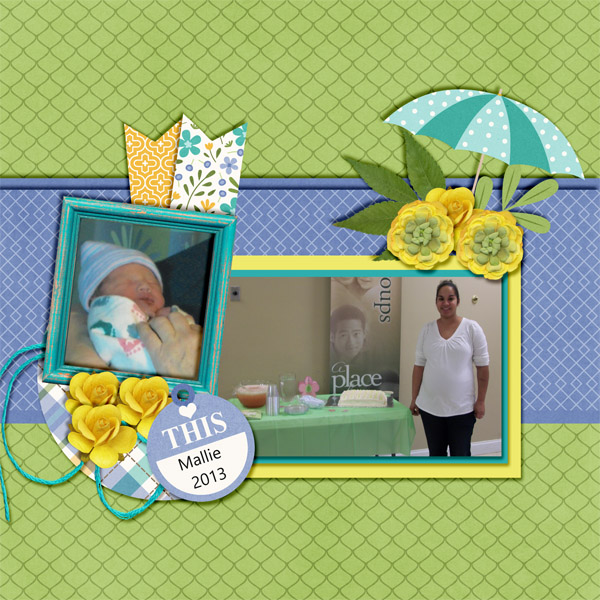 Baby Shower for Mallie