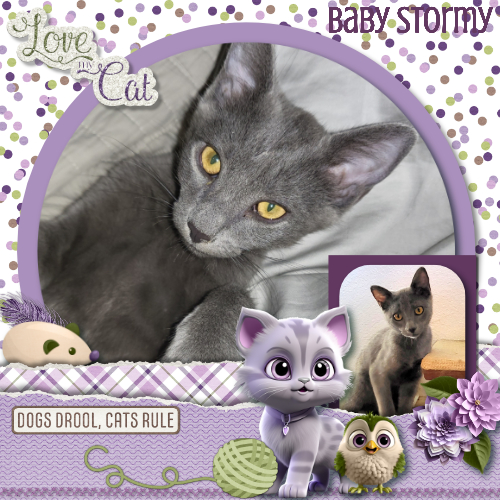 Baby Stormy