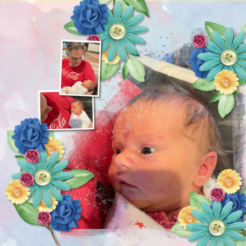 Baby Willow