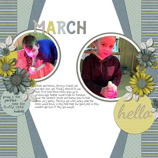 baby_chicks