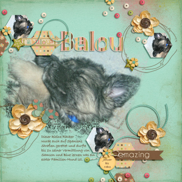 BabyBoy Balou