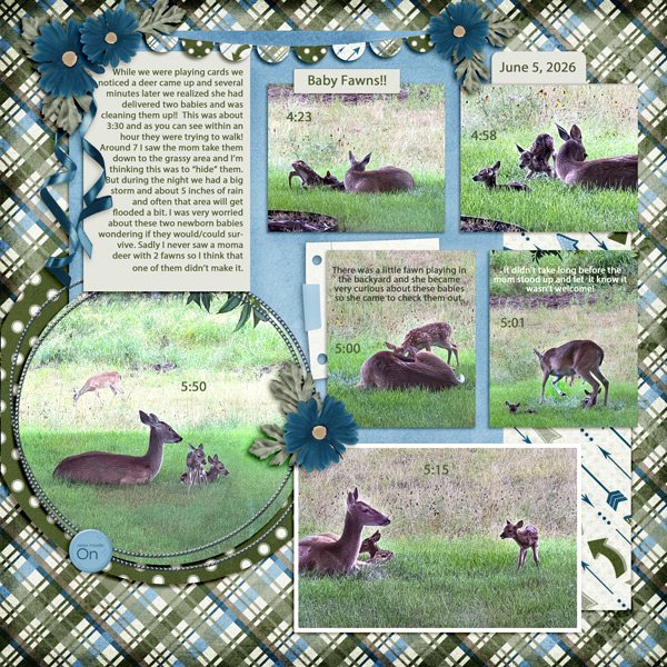 BabyDeer! June5