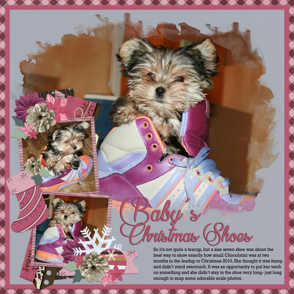 Baby's Christmas Shoes