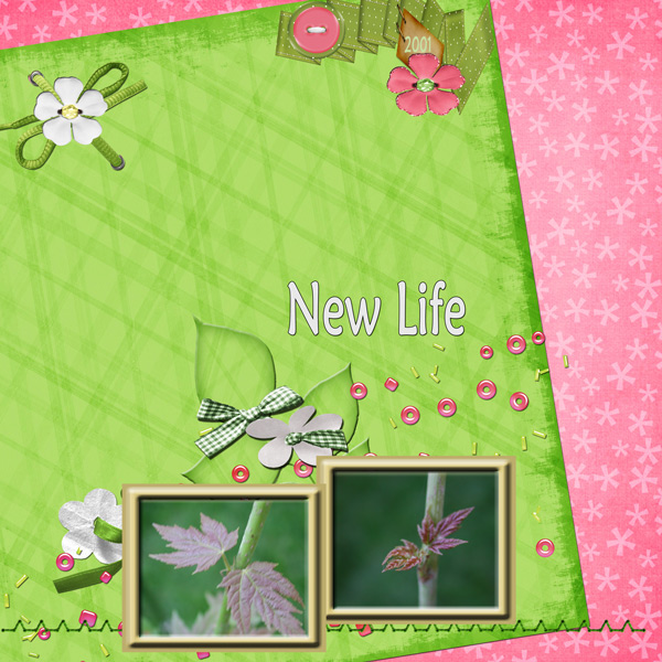 babytree