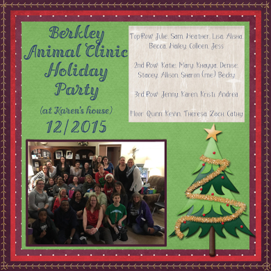 BAC Christmas Party 2015